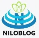   Online Learning English